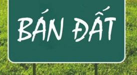 Bán 120m đất tại ngõ 68 Phố Triều Khúc Thanh Xuân Hà Nội